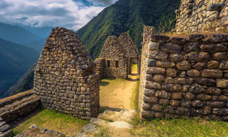 On the trail from Lares to Machu Picchu, girl with her llamas.