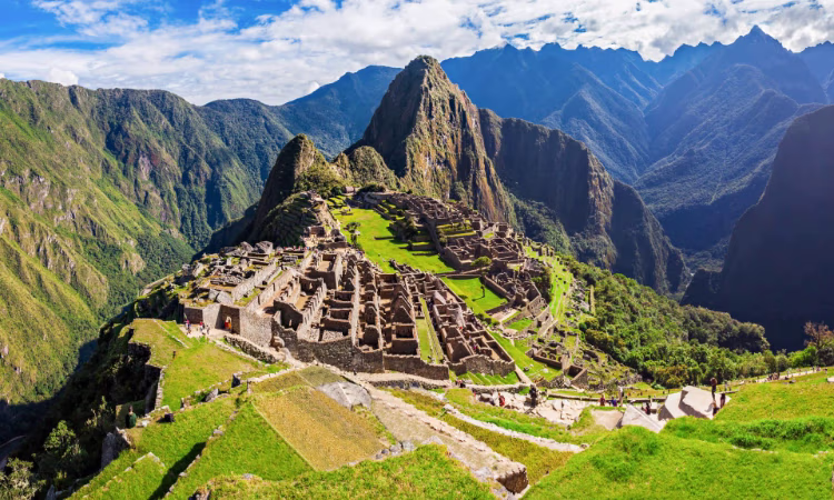 On the trail from Lares to Machu Picchu, girl with her llamas.