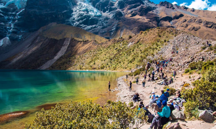 On the trail from Lares to Machu Picchu, girl with her llamas.
