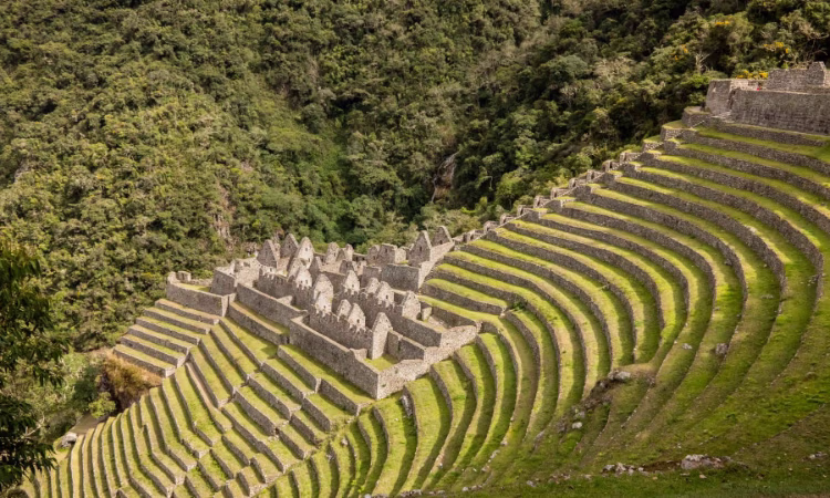 Hikers on the Inca Trail near Wiñay Wayna